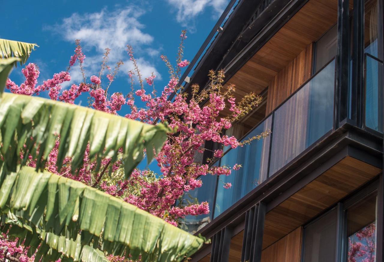 Yakamoz Erhai Hotel Dali (Yunnan) Exterior foto